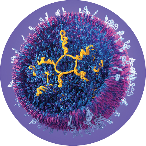 Circular photo of a detailed scientific cell, encircled by a purple paint stroke