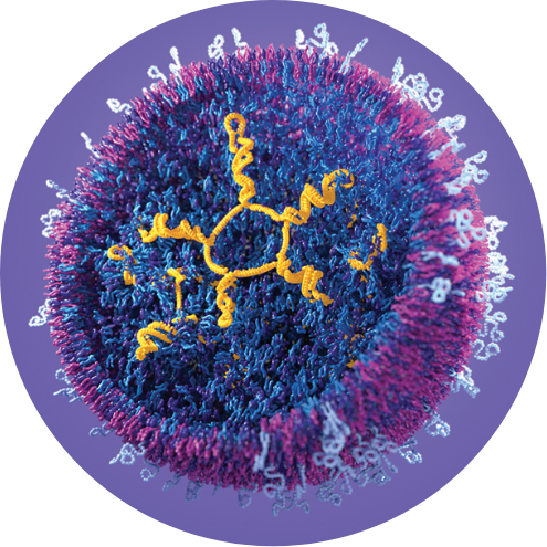 Circular photo of a detailed scientific cell, encircled by a purple paint stroke